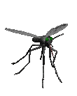 комар и москитная сетка
